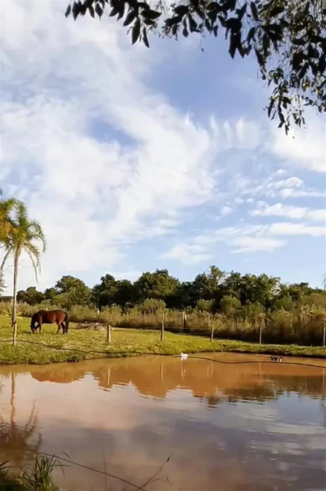Área rural com 3 dormitórios, foto 4