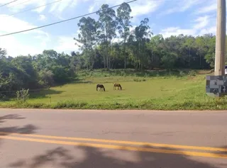 Área rural, foto 2