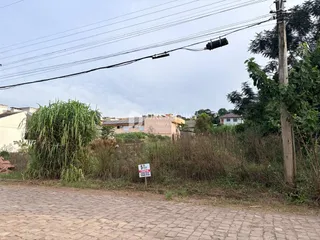 Terreno, foto 2