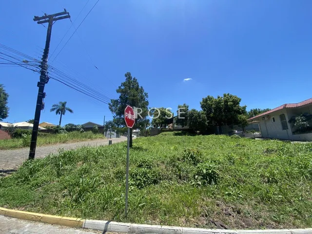 Terreno, foto 2