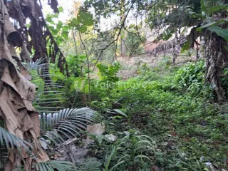 Área rural, foto 7