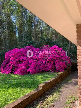 Área rural com 3 dormitórios, foto 24