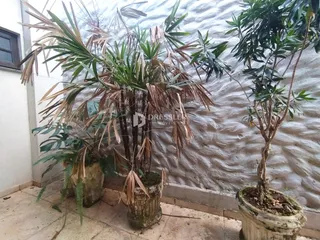 Casa com 4 dormitórios, foto 6