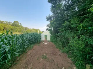 Área rural, foto 21