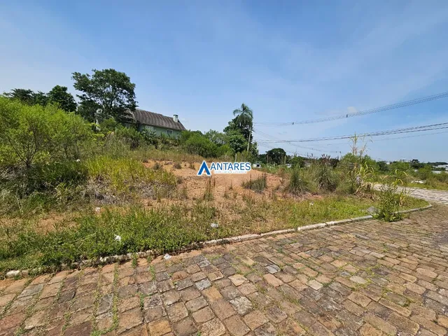 Terreno, foto 2