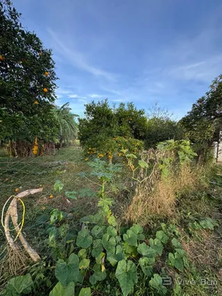 Área rural com 4 dormitórios, foto 18