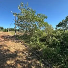 Vista de terreno com vegetação seca sob céu azul.