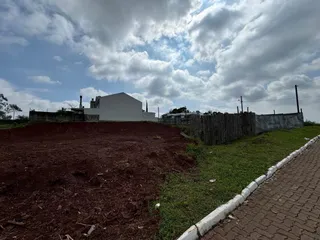 Terreno, foto 3