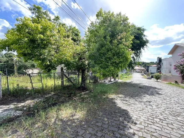 Terreno, foto 2