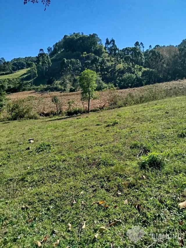 Área rural, foto 3
