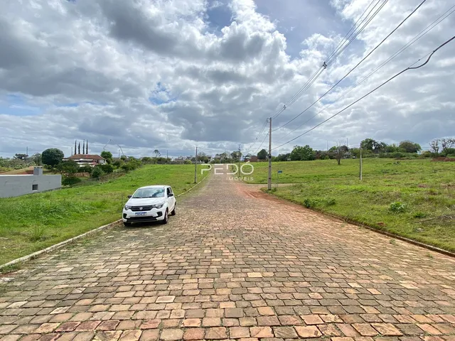 Terreno, foto 3