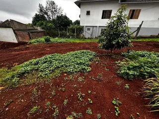 Terreno, foto 3