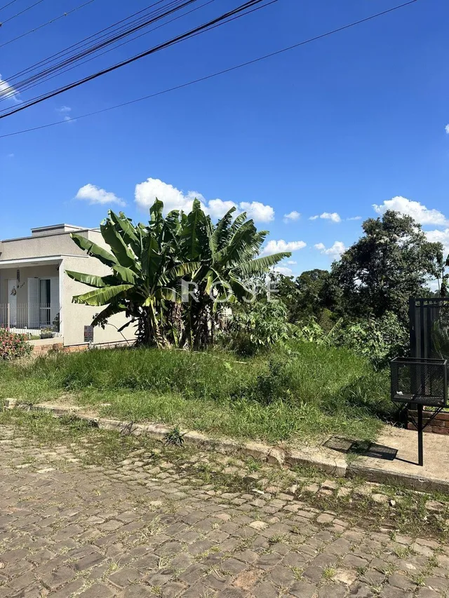 Terreno, foto 4