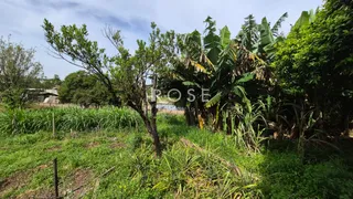 Paisagem verde com vegetação densa em Lajeado.
