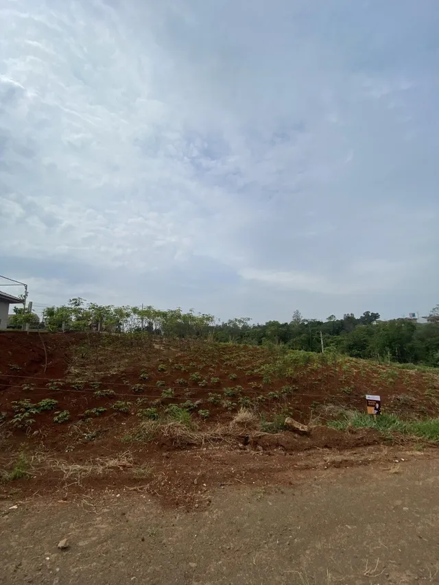 Terreno, foto 2