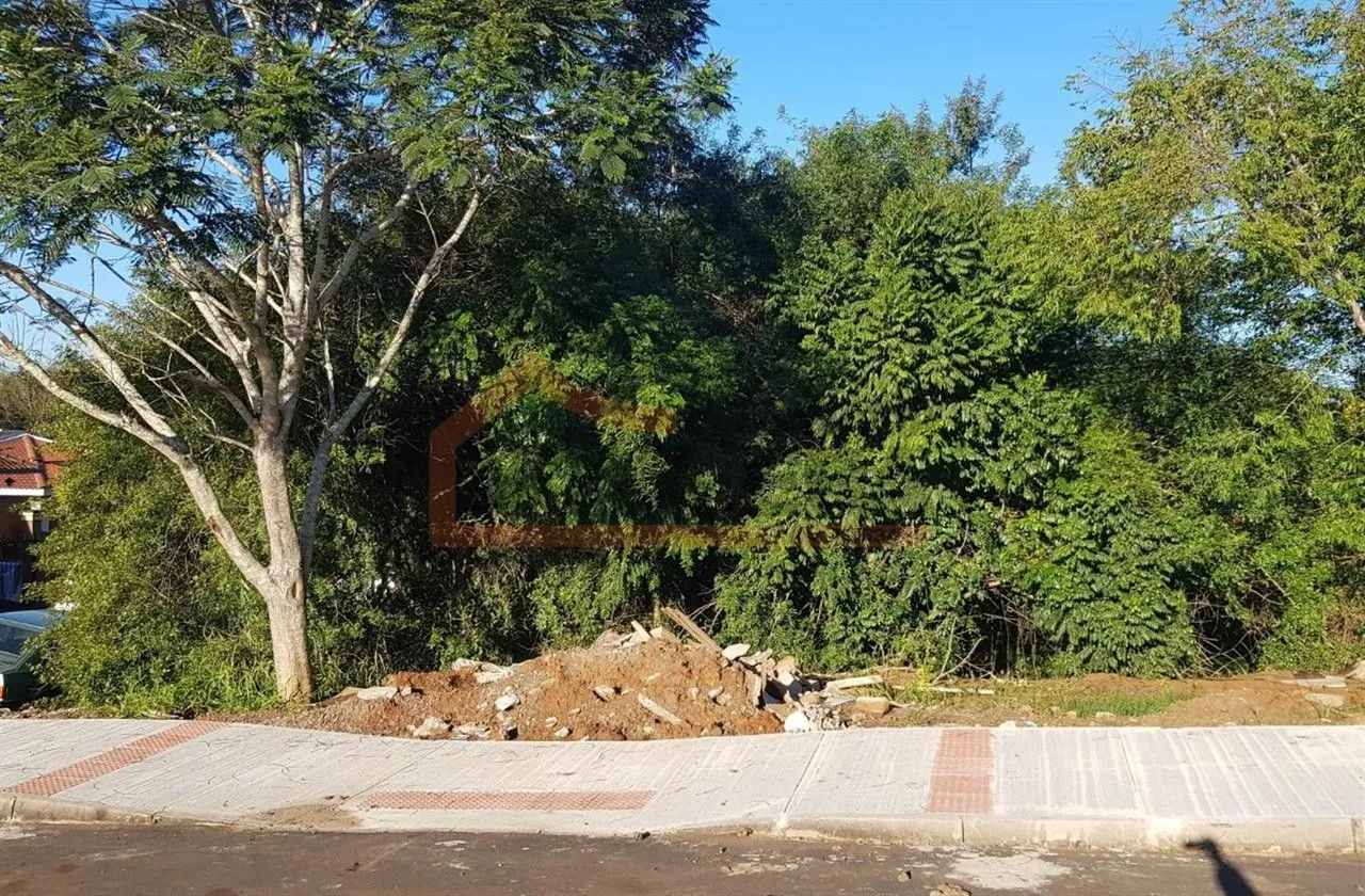 Terreno, foto 1