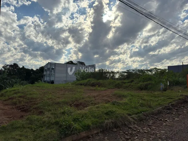Terreno