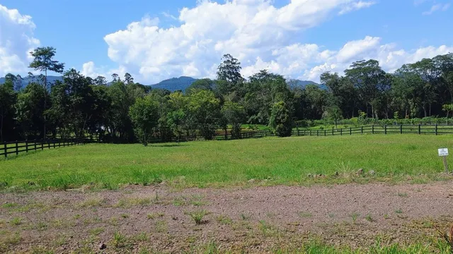 Terreno, foto 3