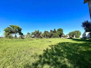 Vista ampla de um campo gramado sob um céu azul claro.