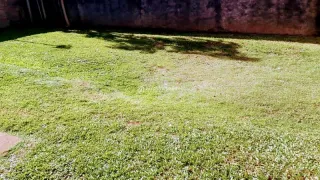 Vista de um gramado verde em área externa.