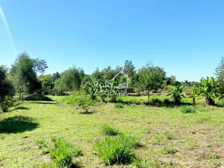 Área rural com 3 dormitórios, foto 6