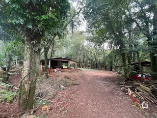 Vista externa de uma propriedade cercada por vegetação densa e trilha de terra.