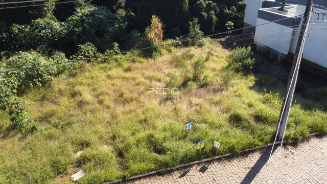 Campo gramado com vegetação alta ao lado de uma cerca de arame.