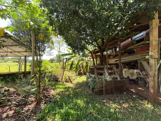 Vista externa de uma área com vegetação densa e árvores no Brasil.
