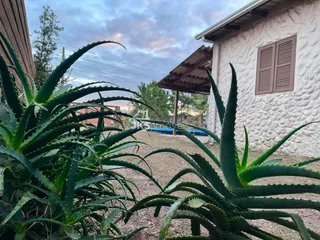 Casa com 3 dormitórios, foto 12