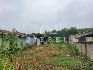 Terreno, foto 3
