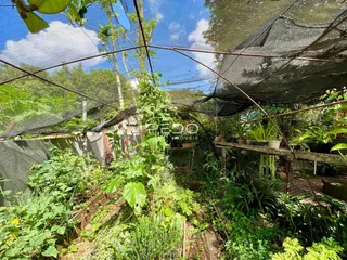 Casa com 4 dormitórios, foto 36