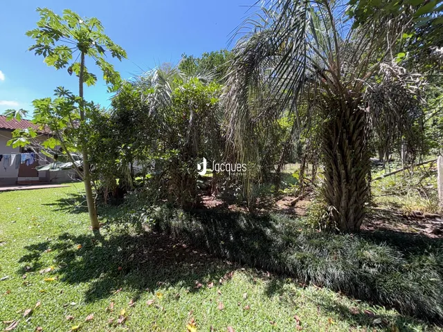 Área rural com 2 dormitórios, foto 5