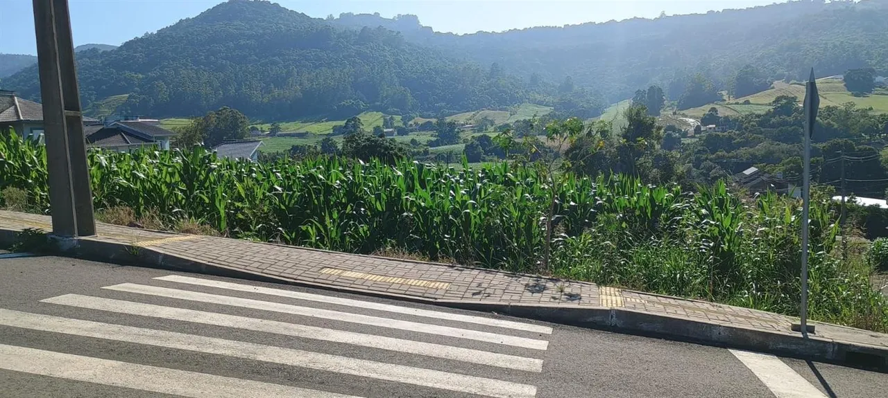 Terreno, foto 1