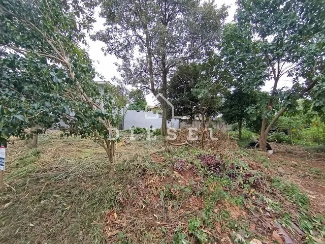Terreno, foto 4