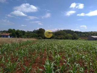Imóvel, foto 4