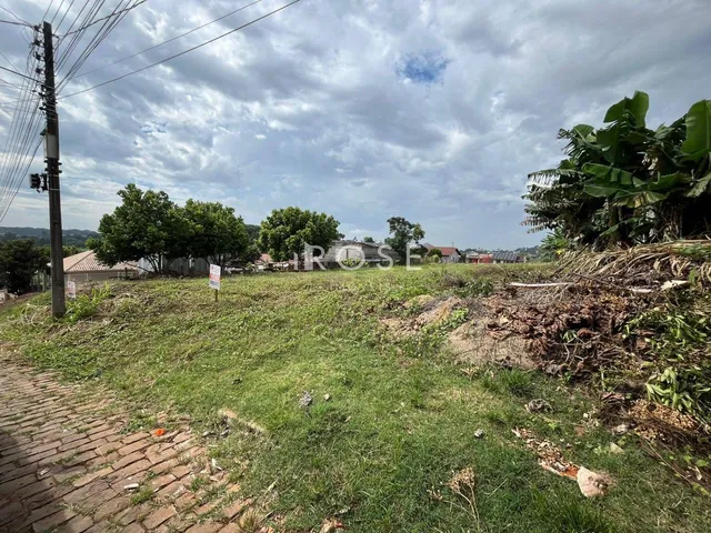 Terreno, foto 4