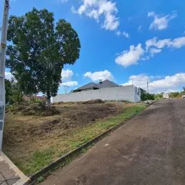 Vista externa de uma estrada de terra com vegetação e céu azul.