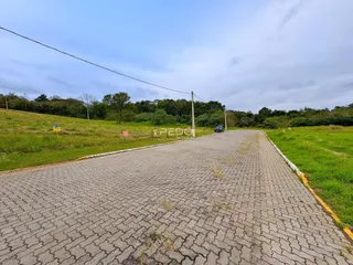 Vista de uma estrada pavimentada em uma área verde com vegetação ao fundo.