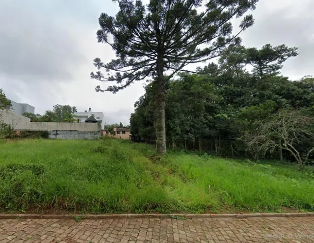 Terreno