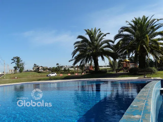 Vista externa de uma piscina e jardim com palmeiras.