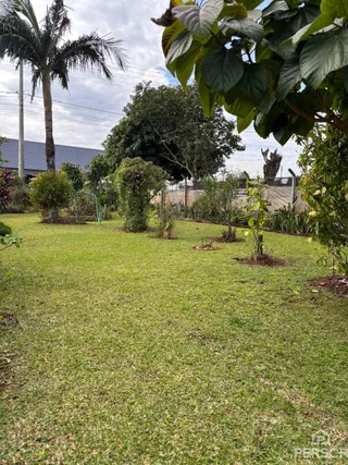 Vista externa de um gramado com árvores e vegetação.