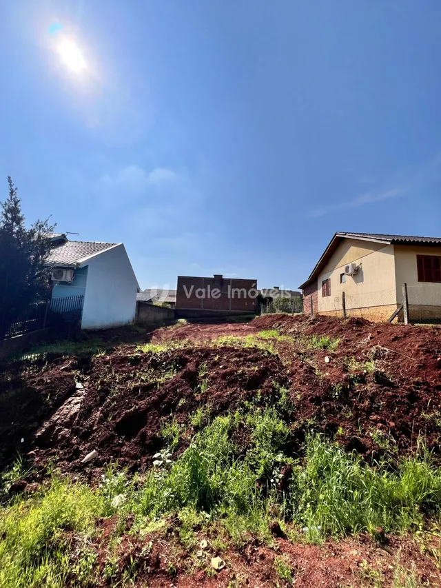 Terreno, foto 3