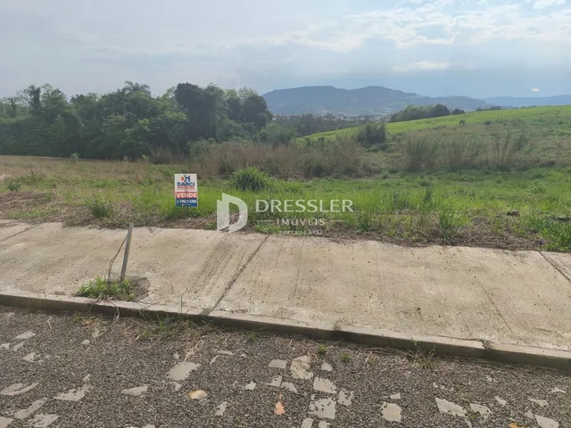 Paisagem de campo com vegetação e estrada de terra em Lajeado.