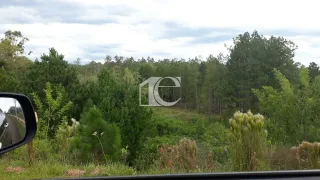 Terreno, foto 6