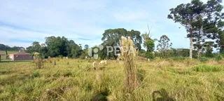 Área rural, foto 18