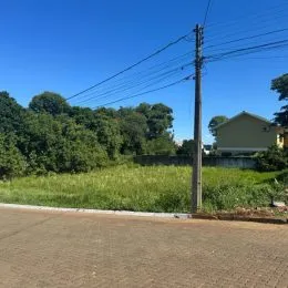 Vista externa de uma rua com vegetação e poste de eletricidade.