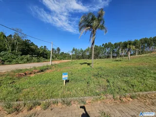 Terreno, foto 3