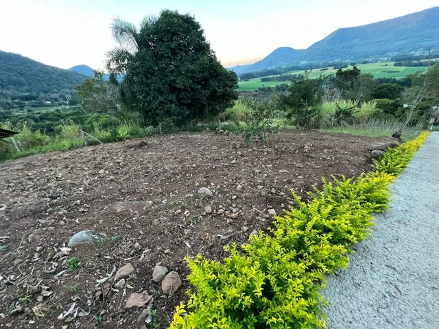 Área rural com 3 dormitórios, foto 2