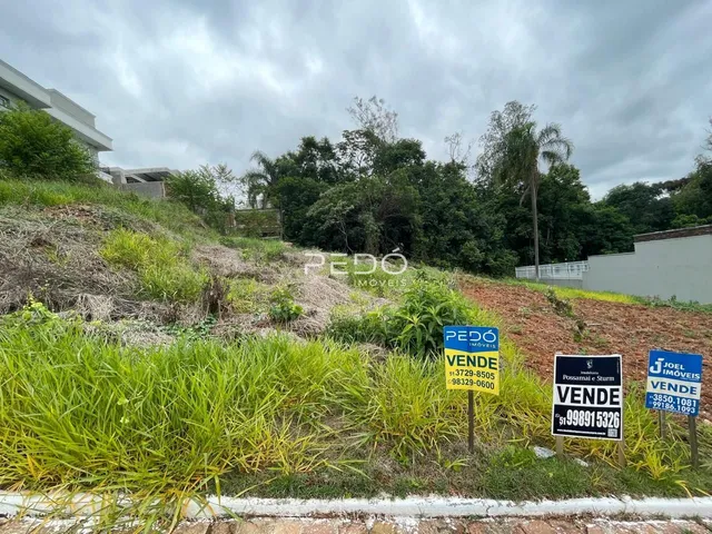 Terreno, foto 4