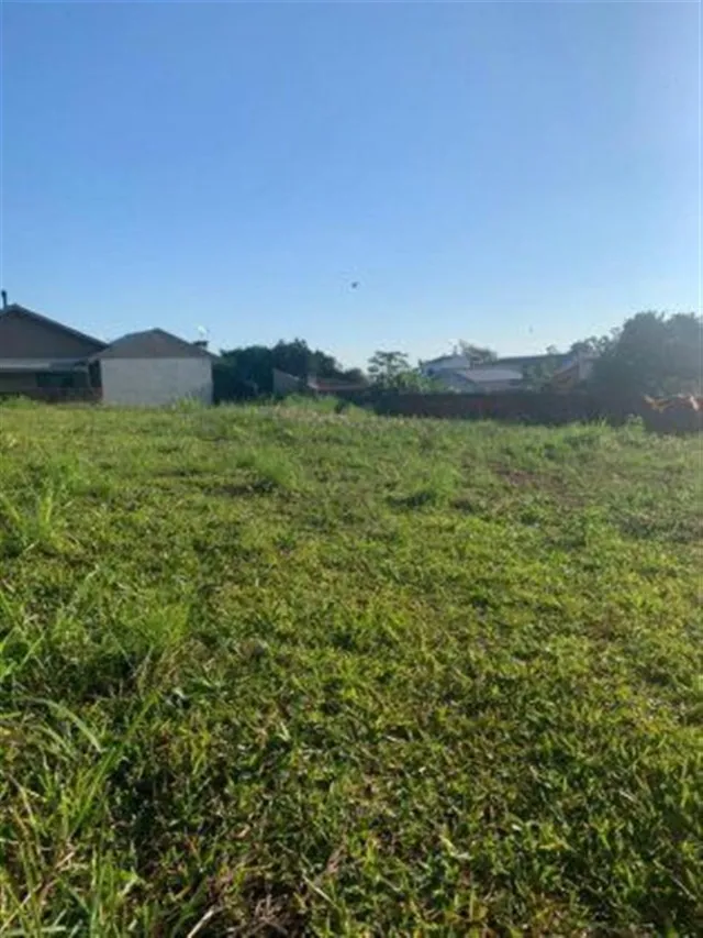 Terreno, foto 5